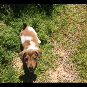 Meet your Posher, William